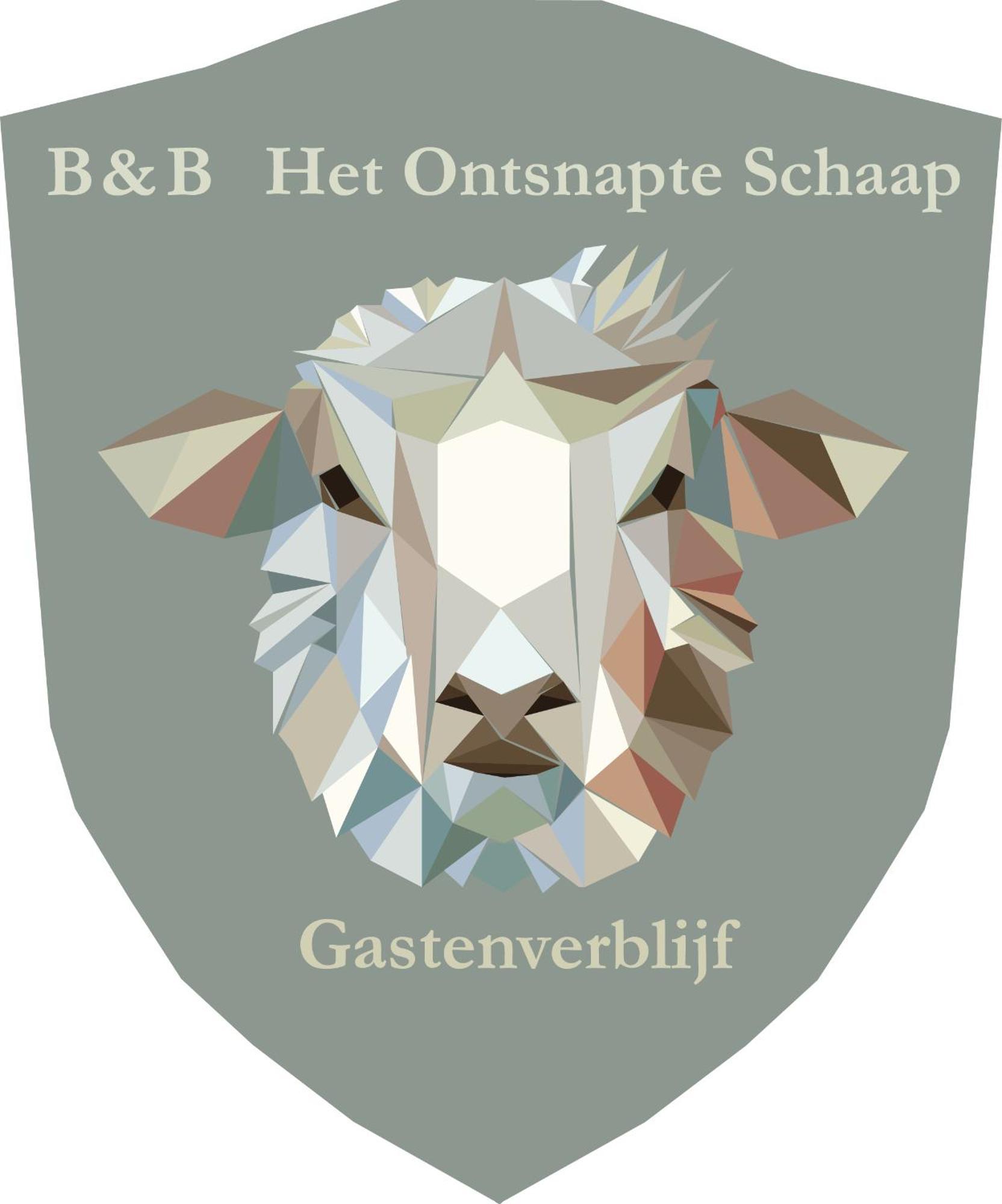 Prive In Een Bosrijke Omgeving Welkom Bij Gastenverblijf Het Ontsnapte Schaap In Jubbega Екстер'єр фото